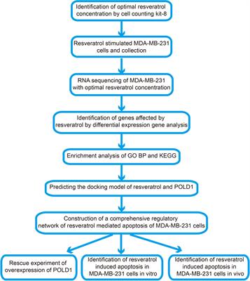 Resveratrol Mediates the Apoptosis of Triple Negative Breast Cancer Cells by Reducing POLD1 Expression